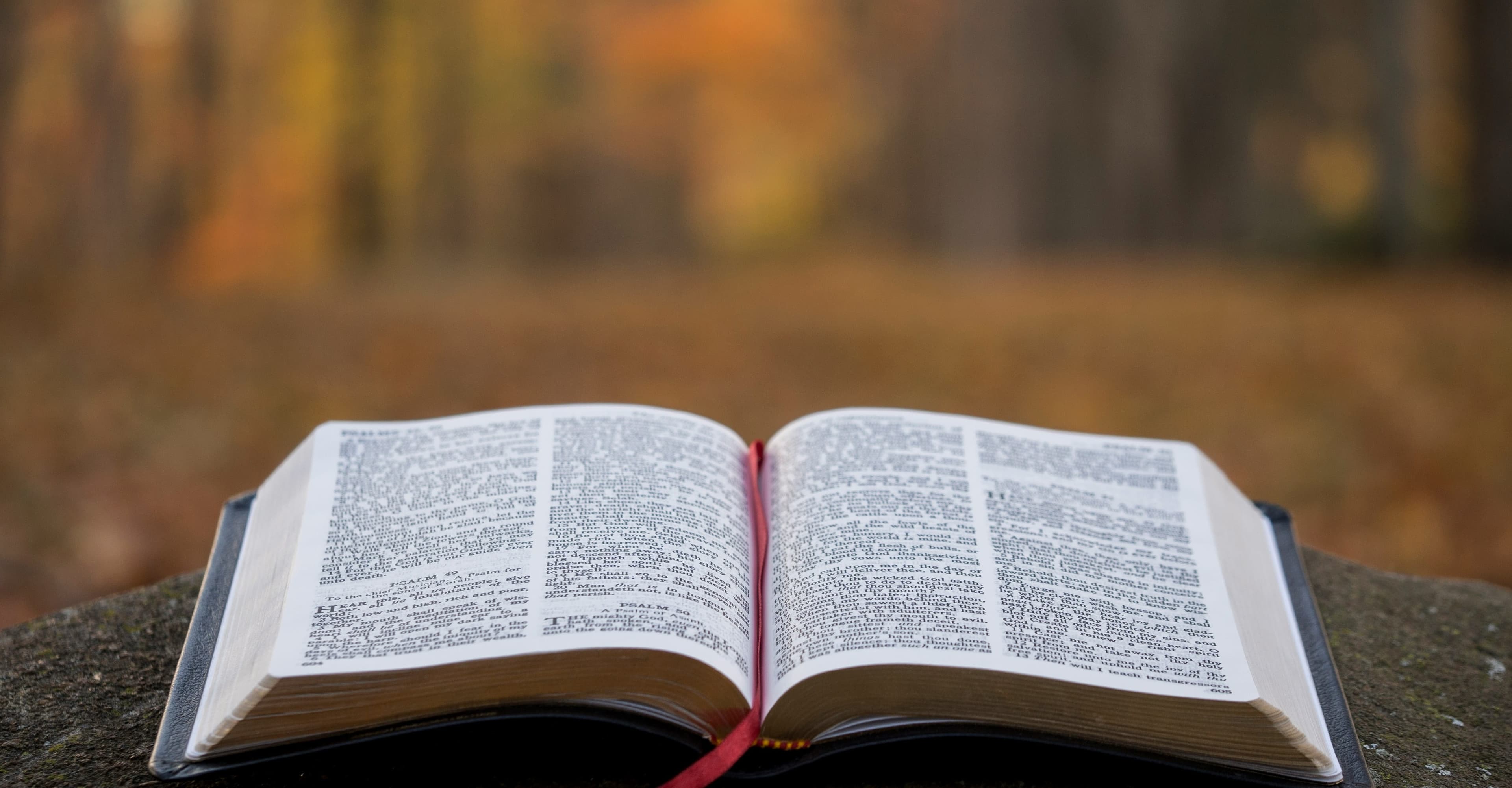 An open Bible resting on stone in an autumn forest